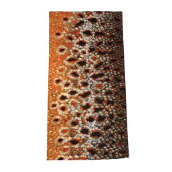 Halsedisse Brown Trout Scales 2