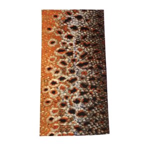 Halsedisse Brown Trout Scales 2