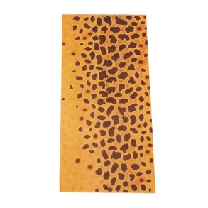 Halsedisse Brown Trout Scales