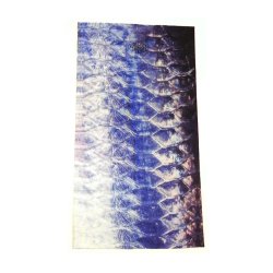 Halsedisse Tarpon Scales 2