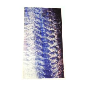 Halsedisse Tarpon Scales 2