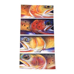 Halsedisse Trout Heads