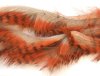 TIger Barred Rabbit Strips Black / Orange over Tan