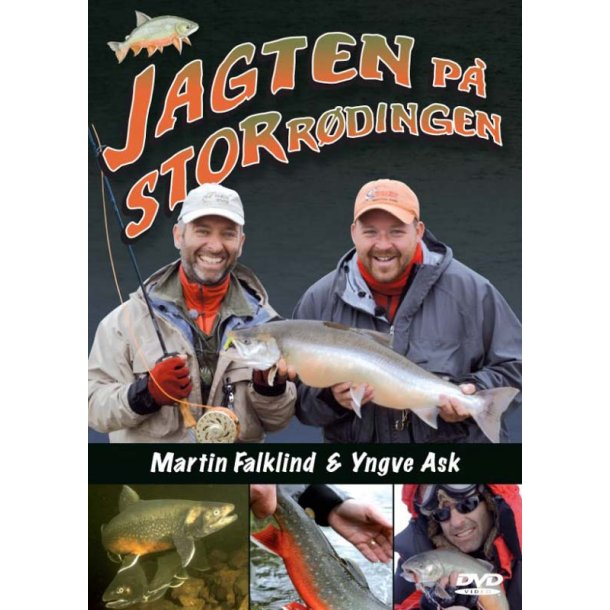 DVD - Jagten P Stor Rdingen