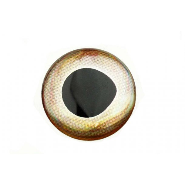 Living Eyes - ICE