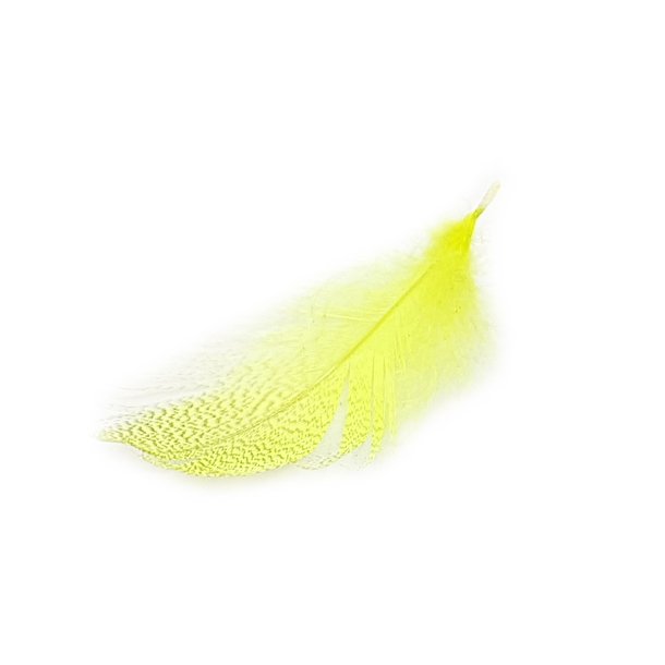 TheFlyCo Mallard Barred Flank Fluo Yellow