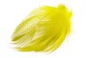 Mayfly Yellow