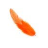 Hot Orange