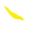 Sunburst Yellow
