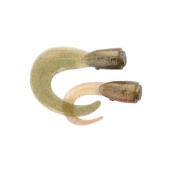 Savage Gear Hard Eel Tails