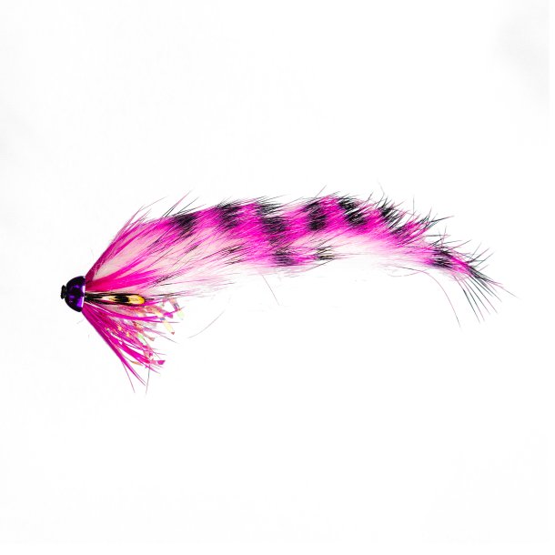Dansk Bundet Kvalitet - Pink Tiger Zonker