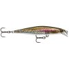 Live Rainbow Trout