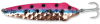 Copper Rainbow Trout