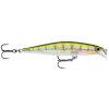 Yellow Perch