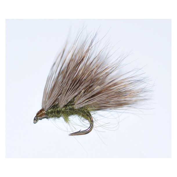 Sedgehog Olive Dryfly