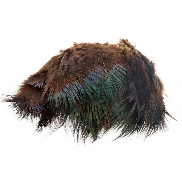 TheFlyCo Ringneck Rump Hackle Chocolate Brown