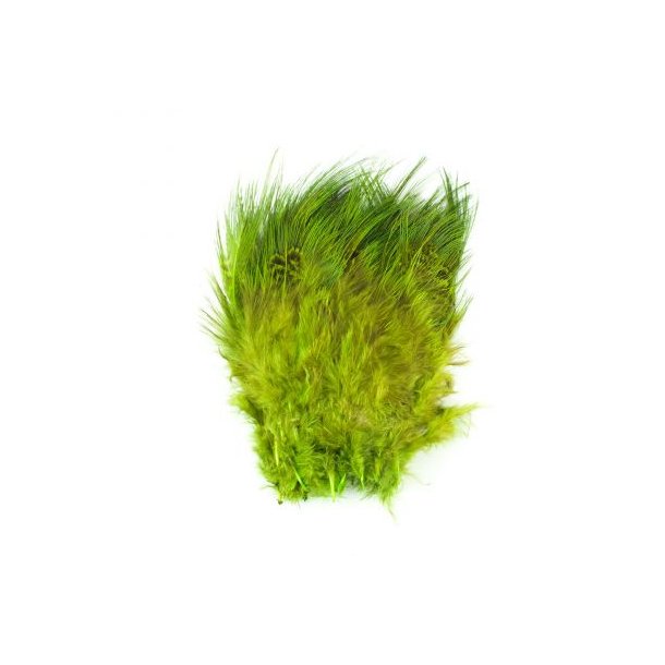 TheFlyCo Ringneck Rump Hackle Fluo Chartreuse