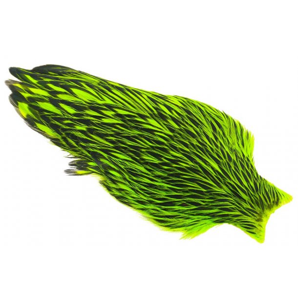 Whiting American Hen Cape Black Laced Black/Chartreuse