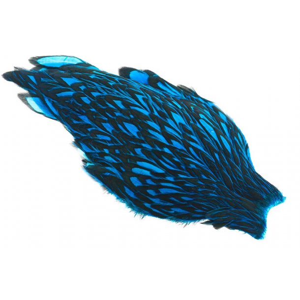 Whiting American Hen Cape Black Laced Black/Kingfisher