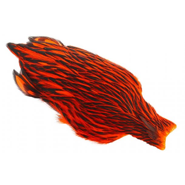 Whiting American Hen Cape Black Laced Black/Orange