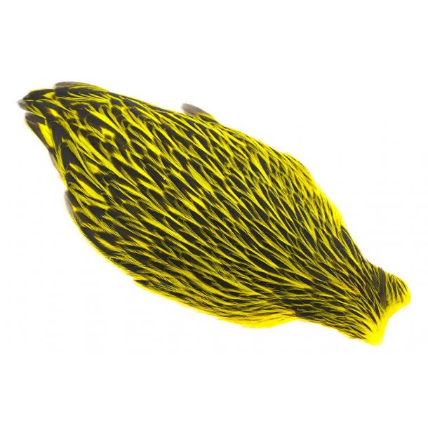 Whiting American Hen Cape Black Laced Black/Yellow