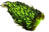 Black/Chartreuse