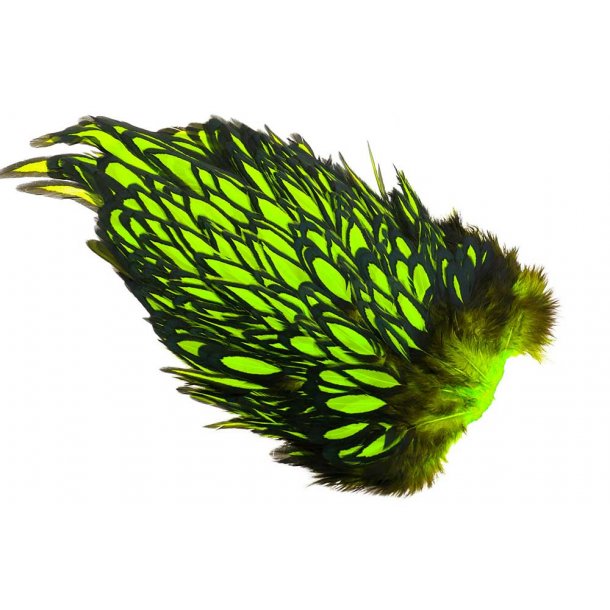 Whiting American Hen Saddle Black Laced. Black/Chartreuse