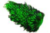 Black/Green Highlander
