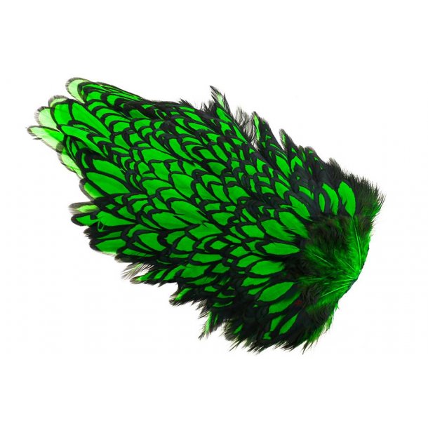 Whiting American Hen Saddle Black Laced. Black/Green Highlander