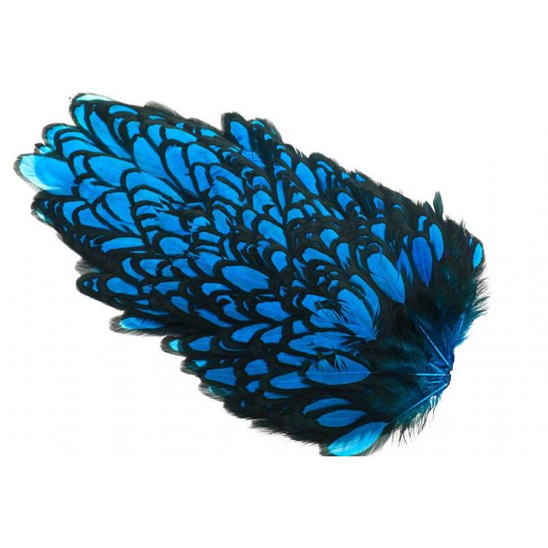 Whiting American Hen Saddle Black Laced. Black/Kingfisher