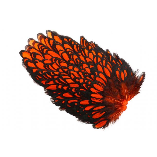 Whiting American Hen Saddle Black Laced. Black/Orange