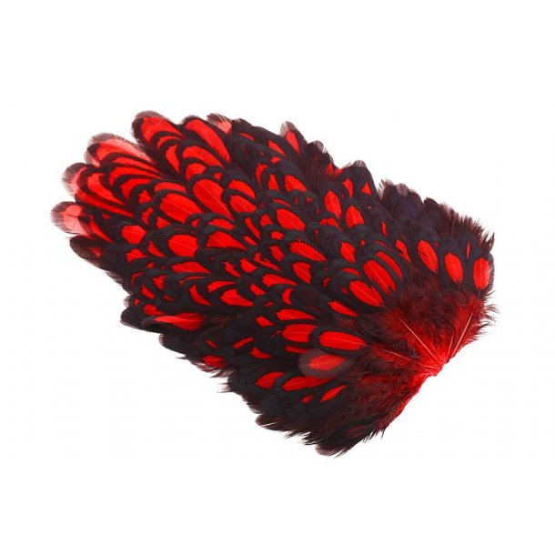 Whiting American Hen Saddle Black Laced. Black/Red