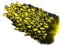 Black/Yellow