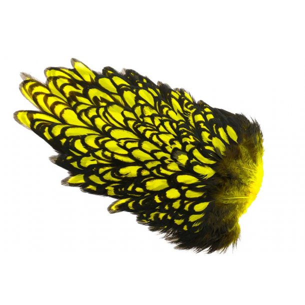 Whiting American Hen Saddle Black Laced. Black/Yellow