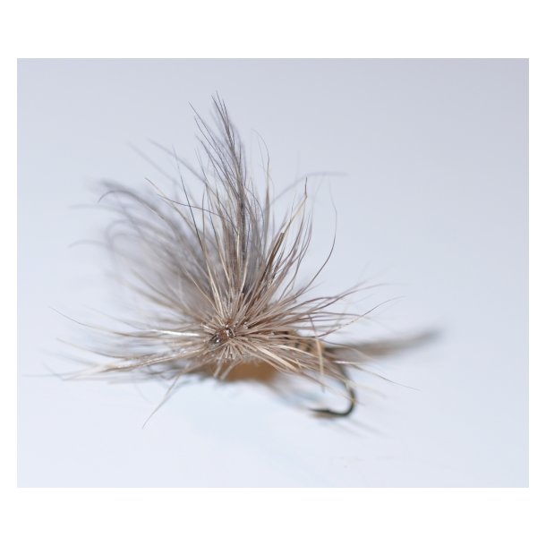 Wild Head Dryfly