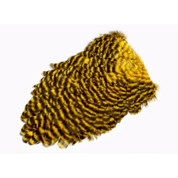 Futurfly American Saddle Sunburst/Yellow Grizzly