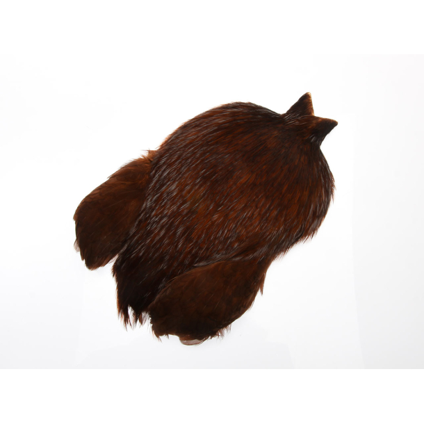 Futurefly Rooster Cape Brown