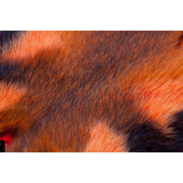 A. Jensen Savannah Rat - skind til zonker Orange