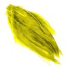Golden Olive