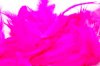 Fluo Fushia