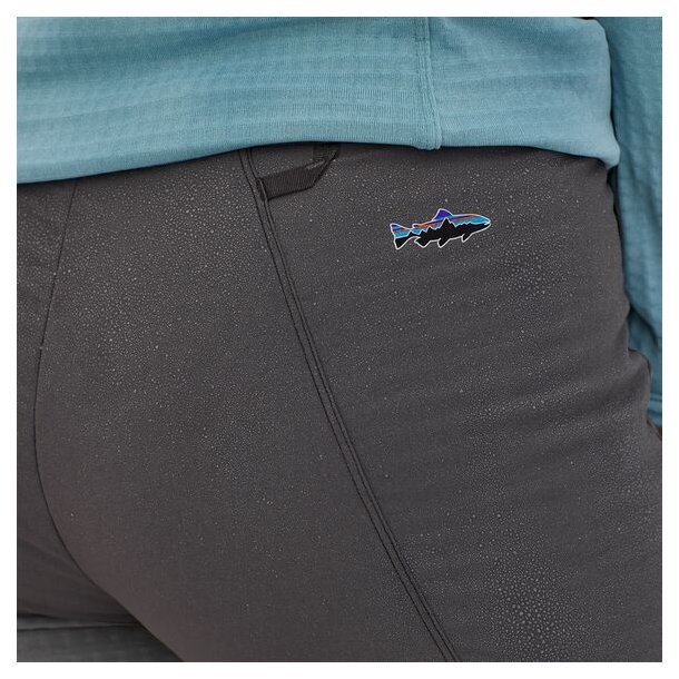 Patagonia r2 pants online