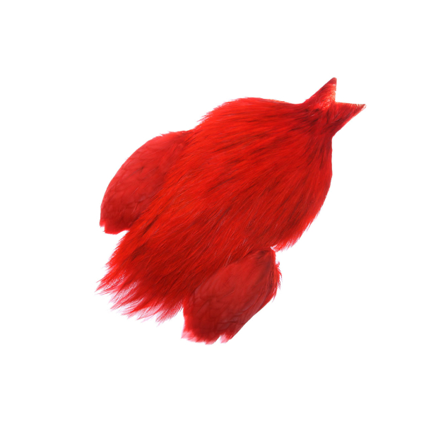 Futurefly Rooster Cape Red