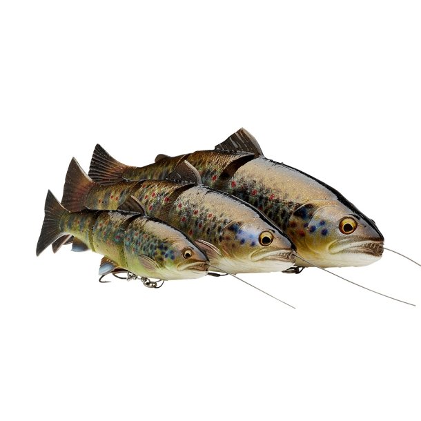 Savage Gear 4D Line Thru Trout S 25cm 193g