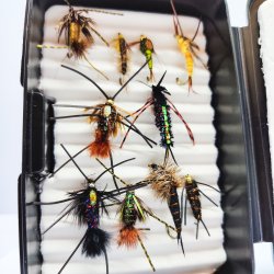 Stone Fly Fluer Til Put &amp; Take og , 10 stk. 