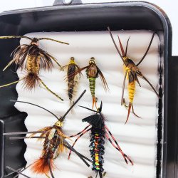 Stone Fly Fluer Til Put &amp; Take og , 10 stk. 