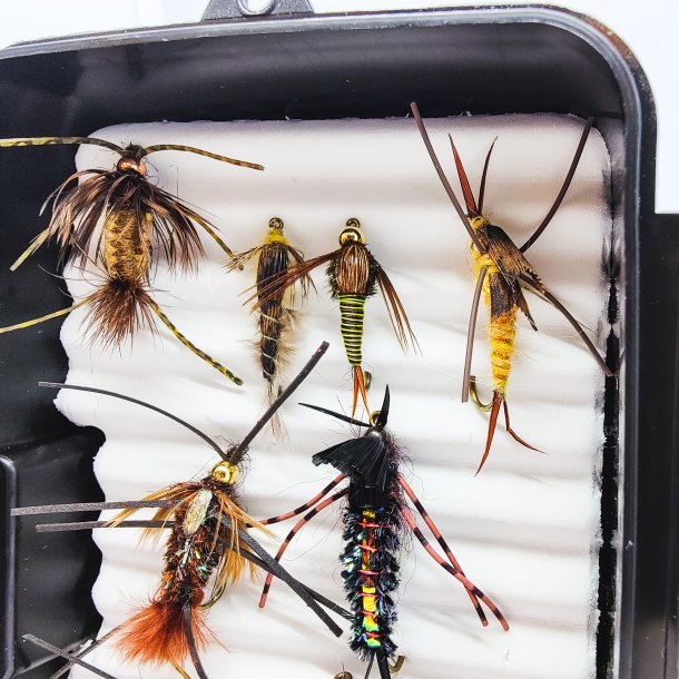 Stone Fly Fluer Til Put &amp; Take og , 10 stk. 