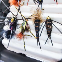 Stone Fly Fluer Til Put &amp; Take og , 10 stk. 