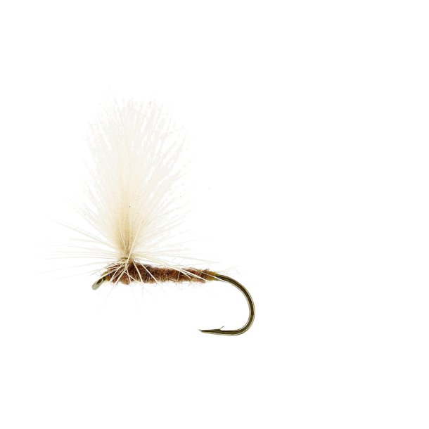 Unique Flies Aurivilli Dun Ginger, TMC100 #14