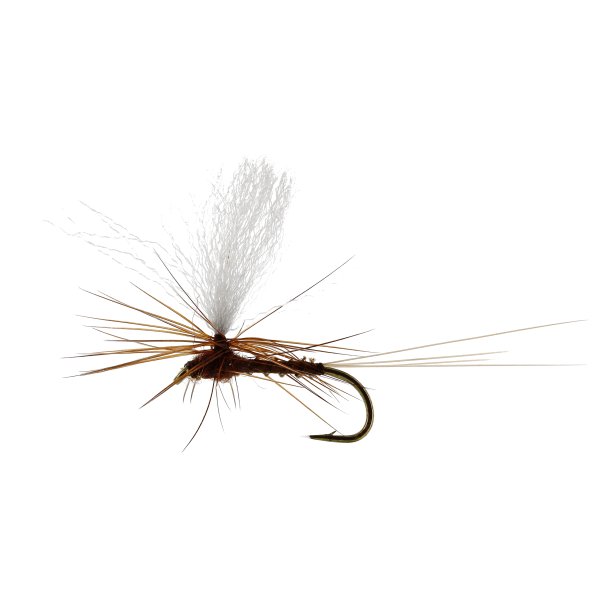 Unique Flies Marginata Dun Biot Brown, TMC100