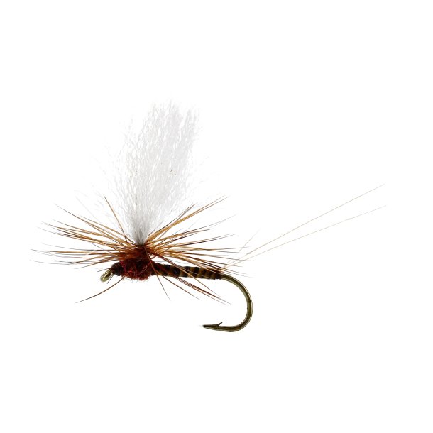 Unique Flies Marginata Dun Quill Brown, TMC100